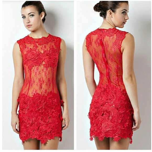 AKIRA Dresses & Skirts - Akira Chicago Black Label Illusion Mesh Dress Size Small